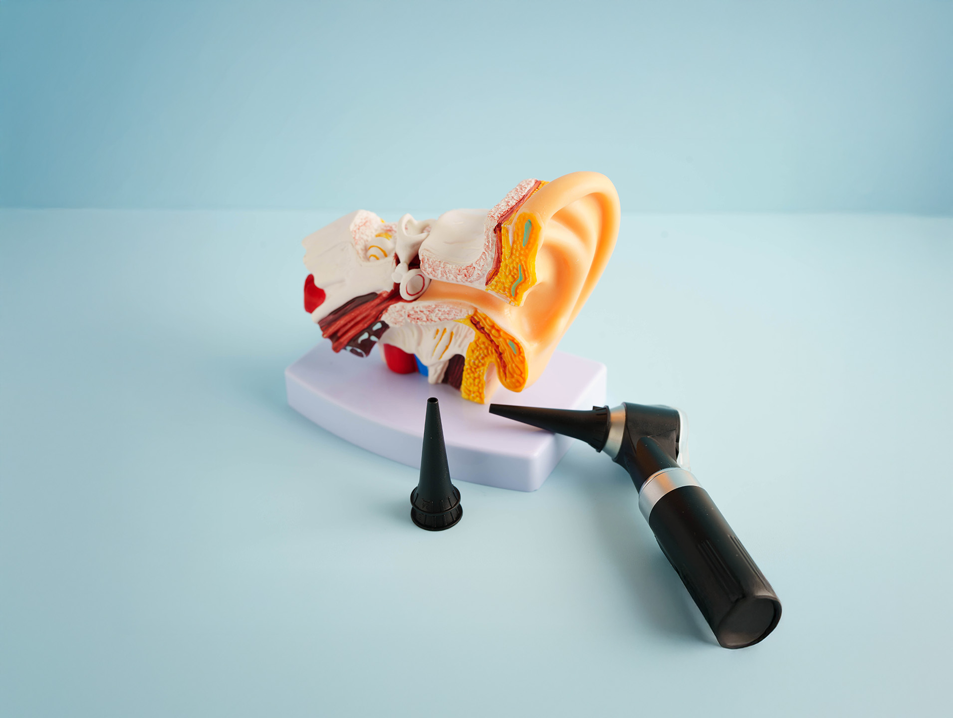 ЛОР (Отоларингология)