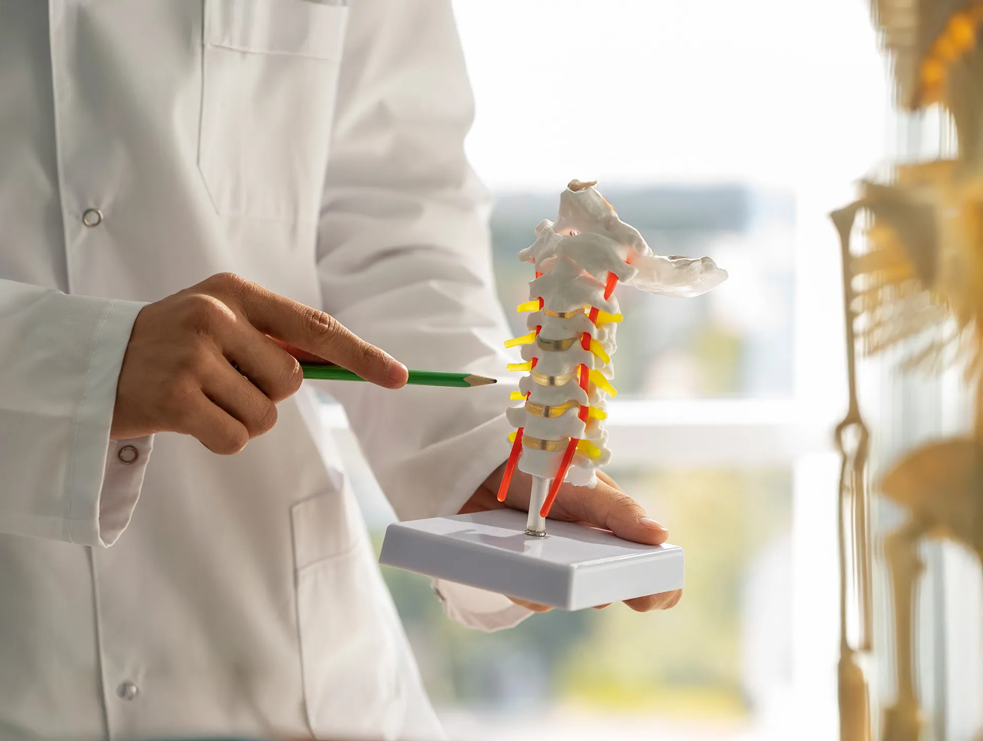 Orthopedics