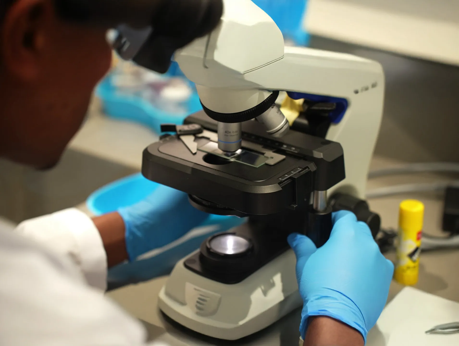Lab Tests