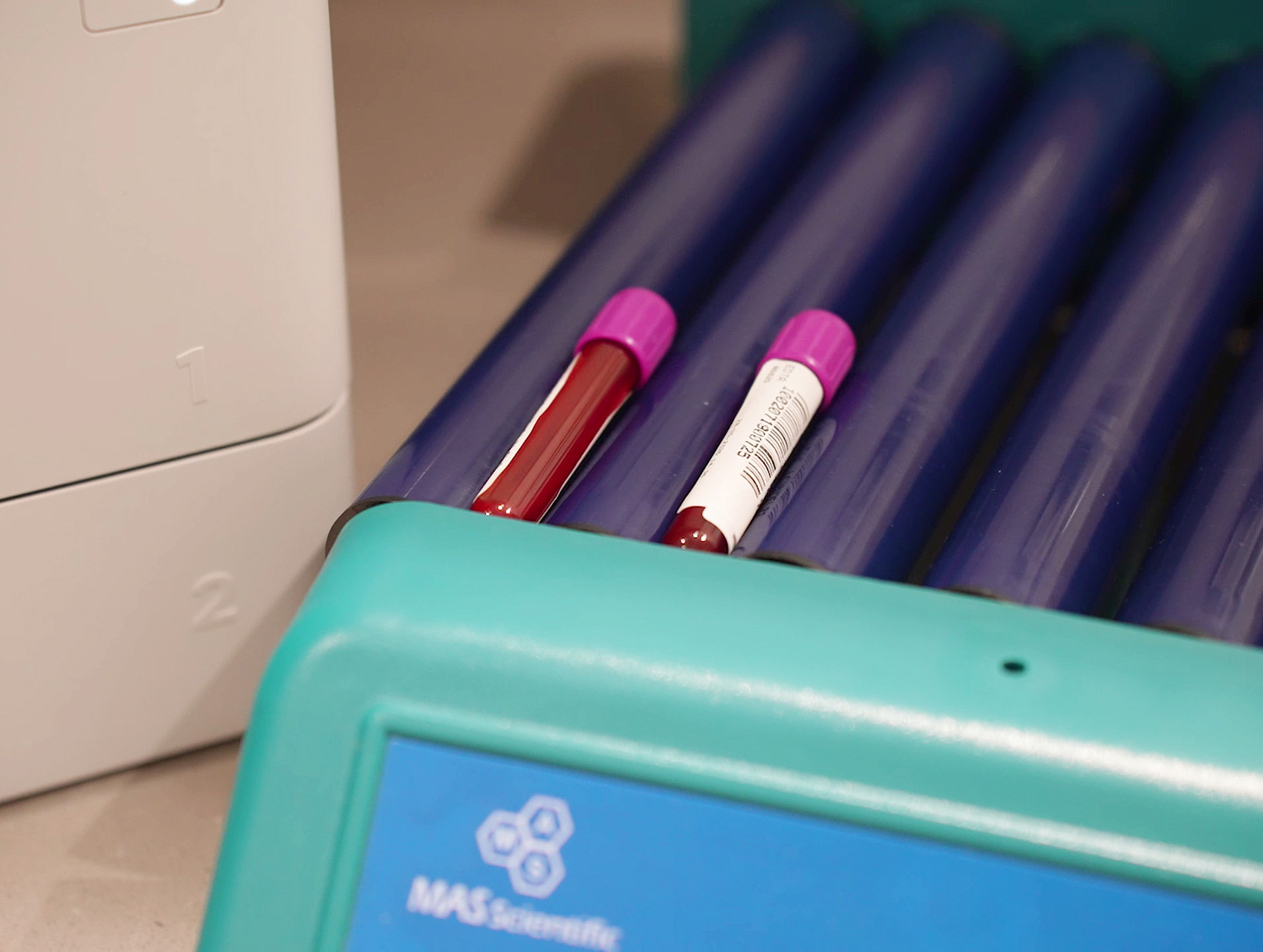 Гематология